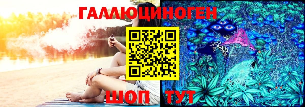 Псилоцибиновые грибы Psilocybine cubensis Сосновоборск